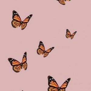 Meet your Posher, Renata